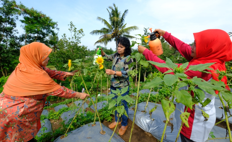 Produktif Umat
